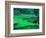 Rice Fields, Cultivation, Bali, Indonesia-Kenneth Garrett-Framed Photographic Print