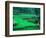 Rice Fields, Cultivation, Bali, Indonesia-Kenneth Garrett-Framed Photographic Print