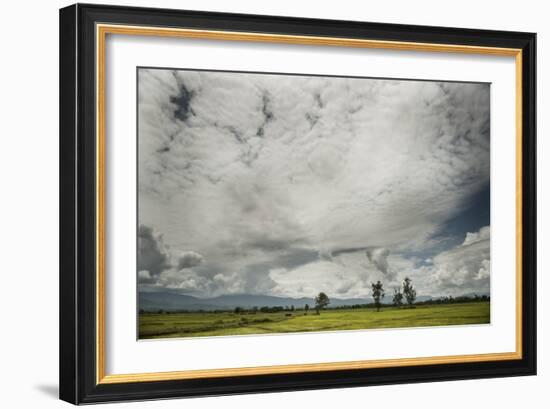 Rice Fields Near Kentung, Burma During The Rainy Season-Rebecca Gaal-Framed Photographic Print