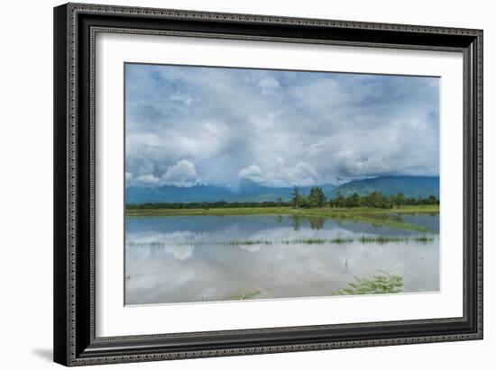 Rice Fields Near Kentung, Burma During The Rainy Season-Rebecca Gaal-Framed Photographic Print