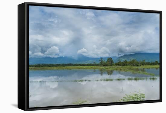 Rice Fields Near Kentung, Burma During The Rainy Season-Rebecca Gaal-Framed Stretched Canvas