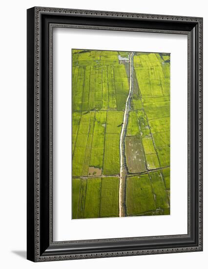 Rice Fields Near Siem Reap, Cambodia-David Wall-Framed Photographic Print