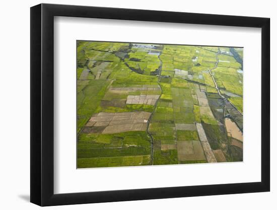 Rice Fields Near Siem Reap, Cambodia-David Wall-Framed Photographic Print