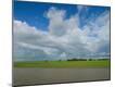 Premium Photographic Print