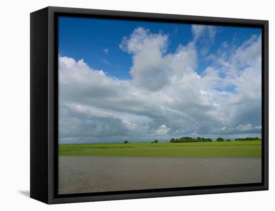 Rice fields with clouds along Kaladan River, Rakhine State, Myanmar-null-Framed Premier Image Canvas