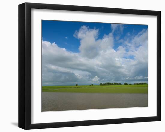 Rice fields with clouds along Kaladan River, Rakhine State, Myanmar-null-Framed Photographic Print