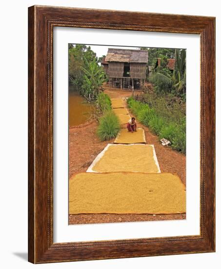 Rice Grains Drying-Bjorn Svensson-Framed Photographic Print