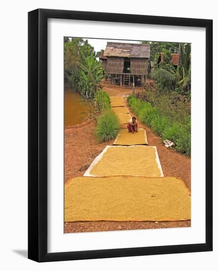 Rice Grains Drying-Bjorn Svensson-Framed Photographic Print