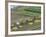 Rice Harvest, Hanging Out Cut Rice to Dry, Hiraizumi, Iwate-Ken, Northern Honshu, Japan, Asia-Tony Waltham-Framed Photographic Print