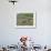 Rice Harvest, Hanging Out Cut Rice to Dry, Hiraizumi, Iwate-Ken, Northern Honshu, Japan, Asia-Tony Waltham-Framed Photographic Print displayed on a wall