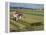 Rice Harvest with Mini-Combine-Harvester, Furano Valley, Central Hokkaido, Japan, Asia-Tony Waltham-Framed Premier Image Canvas