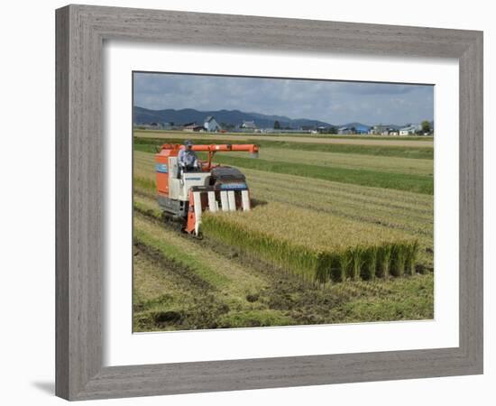 Rice Harvest with Mini-Combine-Harvester, Furano Valley, Central Hokkaido, Japan, Asia-Tony Waltham-Framed Photographic Print
