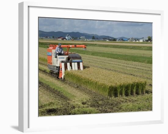 Rice Harvest with Mini-Combine-Harvester, Furano Valley, Central Hokkaido, Japan, Asia-Tony Waltham-Framed Photographic Print