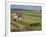 Rice Harvest with Mini-Combine-Harvester, Furano Valley, Central Hokkaido, Japan, Asia-Tony Waltham-Framed Photographic Print