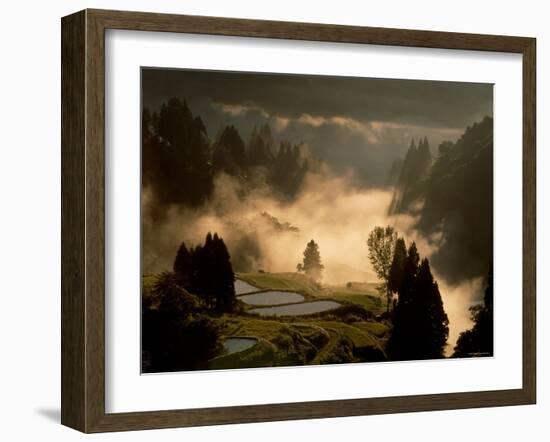 Rice Paddies in Autumn-null-Framed Photographic Print