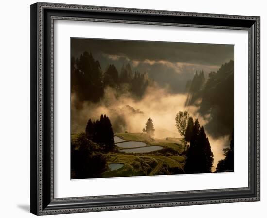 Rice Paddies in Autumn-null-Framed Photographic Print