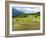 Rice paddies in Tana Toraja, Sulawesi, Indonesia, Southeast Asia, Asia-Melissa Kuhnell-Framed Photographic Print