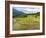 Rice paddies in Tana Toraja, Sulawesi, Indonesia, Southeast Asia, Asia-Melissa Kuhnell-Framed Photographic Print