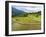 Rice paddies in Tana Toraja, Sulawesi, Indonesia, Southeast Asia, Asia-Melissa Kuhnell-Framed Photographic Print