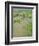 Rice Paddies, Vientiane, Laos, Asia-Bruno Morandi-Framed Photographic Print