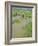 Rice Paddies, Vientiane, Laos, Asia-Bruno Morandi-Framed Photographic Print