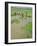 Rice Paddies, Vientiane, Laos, Asia-Bruno Morandi-Framed Photographic Print