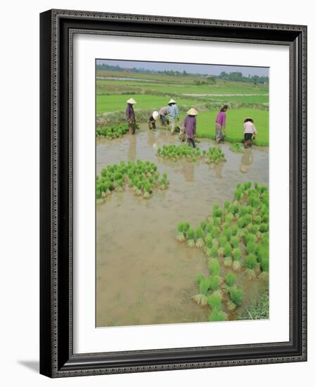 Rice Paddies, Vientiane, Laos, Asia-Bruno Morandi-Framed Photographic Print