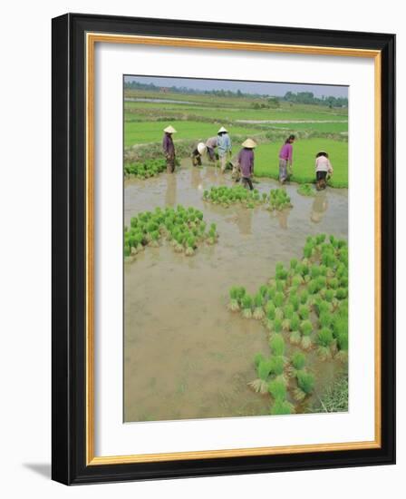 Rice Paddies, Vientiane, Laos, Asia-Bruno Morandi-Framed Photographic Print