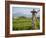 Rice paddies with shrine and Mount Batukaru, Bali, Indonesia, Southeast Asia, Asia-Melissa Kuhnell-Framed Photographic Print