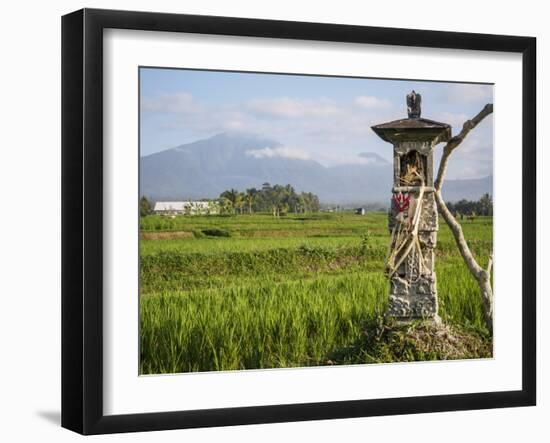 Rice paddies with shrine and Mount Batukaru, Bali, Indonesia, Southeast Asia, Asia-Melissa Kuhnell-Framed Photographic Print