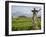 Rice paddies with shrine and Mount Batukaru, Bali, Indonesia, Southeast Asia, Asia-Melissa Kuhnell-Framed Photographic Print