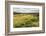 Rice Paddy Field Scenery Near Antananarivo, Antananarivo Province, Eastern Madagascar, Africa-Matthew Williams-Ellis-Framed Photographic Print