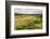 Rice Paddy Field Scenery Near Antananarivo, Antananarivo Province, Eastern Madagascar, Africa-Matthew Williams-Ellis-Framed Photographic Print