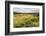 Rice Paddy Field Scenery Near Antananarivo, Antananarivo Province, Eastern Madagascar, Africa-Matthew Williams-Ellis-Framed Photographic Print