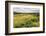 Rice Paddy Field Scenery Near Antananarivo, Antananarivo Province, Eastern Madagascar, Africa-Matthew Williams-Ellis-Framed Photographic Print