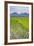 Rice Paddy Fields, Bukittinggi, West Sumatra, Indonesia, Southeast Asia, Asia-Matthew Williams-Ellis-Framed Photographic Print