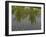 Rice Paddy Fields in the Highlands in Bali, Indonesia, Southeast Asia-Julio Etchart-Framed Photographic Print