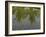 Rice Paddy Fields in the Highlands in Bali, Indonesia, Southeast Asia-Julio Etchart-Framed Photographic Print