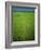 Rice Paddy Fields, Lang Co, Vietnam-Tim Hall-Framed Photographic Print