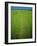 Rice Paddy Fields, Lang Co, Vietnam-Tim Hall-Framed Photographic Print