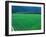 Rice Paddy, Kagoshima, Japan-Rob Tilley-Framed Photographic Print