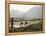 Rice Planters Working in Paddy Fields, Vietnam, Indochina, Southeast Asia-Purcell-Holmes-Framed Premier Image Canvas