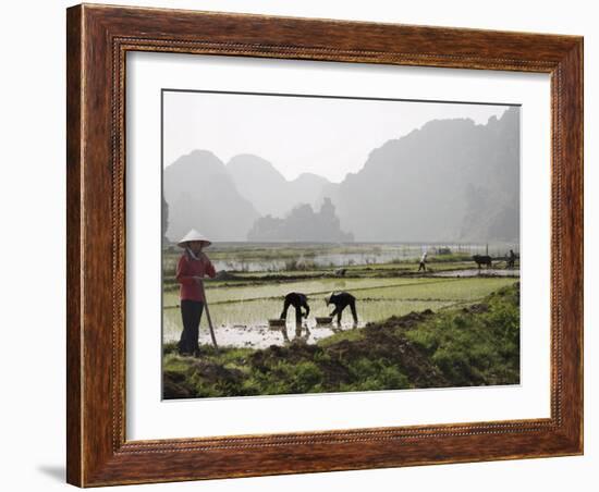 Rice Planters Working in Paddy Fields, Vietnam, Indochina, Southeast Asia-Purcell-Holmes-Framed Photographic Print