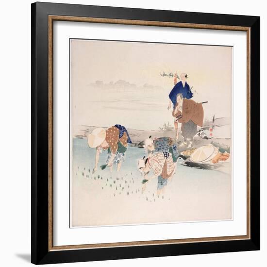 Rice Planting, C.1890s-1900s-Ogata Gekko-Framed Premium Giclee Print