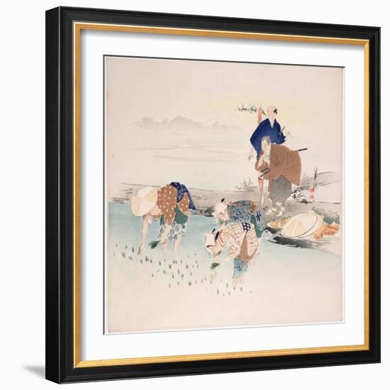 Rice Planting, C.1890s-1900s-Ogata Gekko-Framed Premium Giclee Print