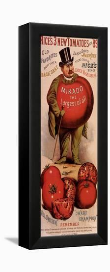 Rice's Tomato Seeds, Mikado, c.1889-null-Framed Premier Image Canvas