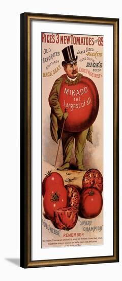 Rice's Tomato Seeds, Mikado, c.1889-null-Framed Giclee Print