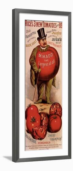 Rice's Tomato Seeds, Mikado, c.1889-null-Framed Giclee Print