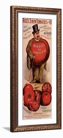 Rice's Tomato Seeds, Mikado, c.1889-null-Framed Giclee Print