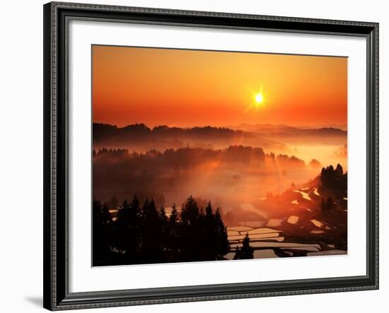 Rice Terrace at Dawn-null-Framed Photographic Print